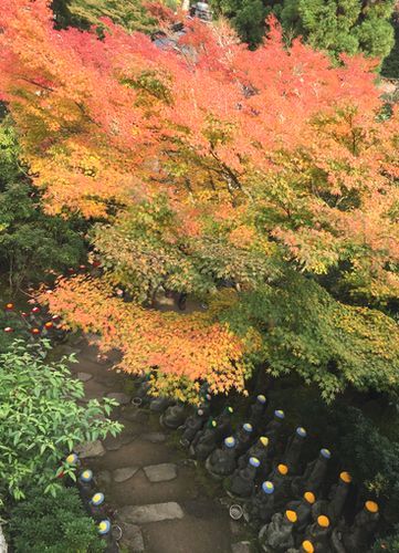 大聖院の紅葉
